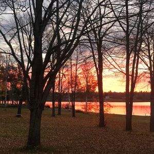 Meet your Posher, Annette